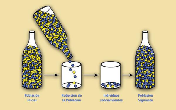 Mecanismos de la Evolución