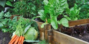 Qué plantar en abril en el huerto en España: calendario, plantas y tareas para hacer ahora