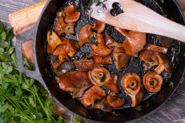 Níscalo o Lactarius deliciosus - ¿Qué recetas con níscalos hay?