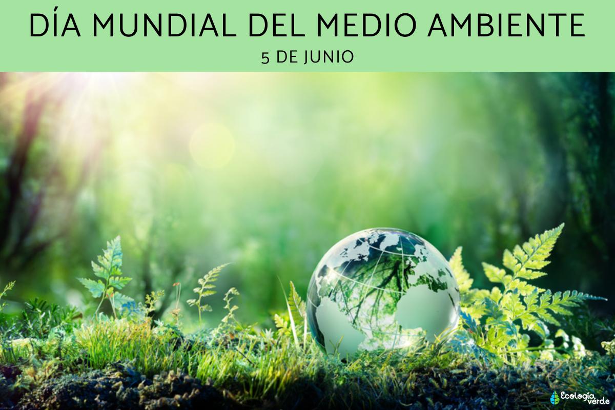 Día Mundial del Medio Ambiente: qué es, por qué y cómo se celebra