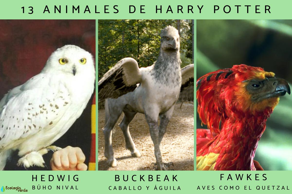 Animales de Harry Potter