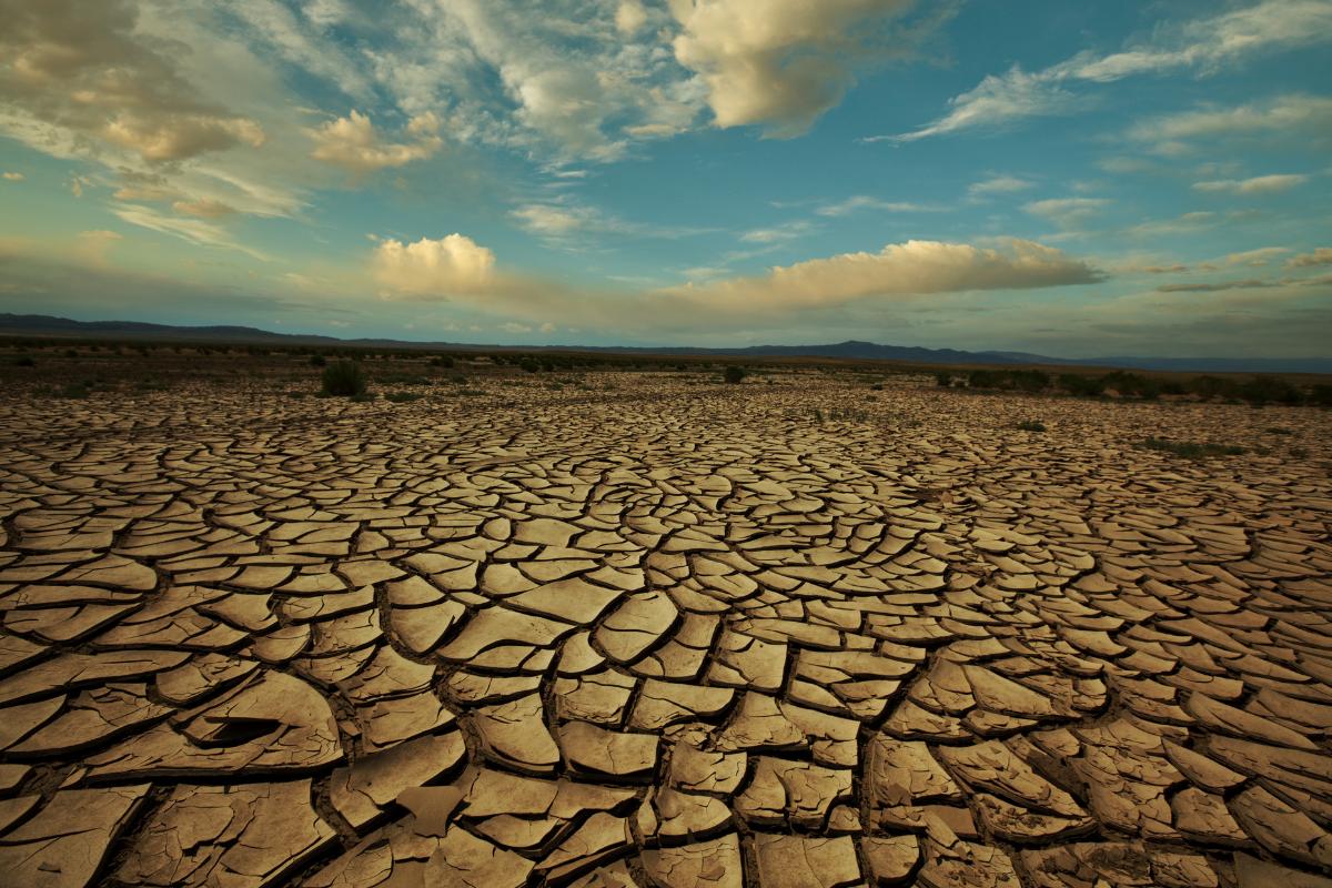 Estrés hídrico: qué es, causas, consecuencias y cómo evitarlo