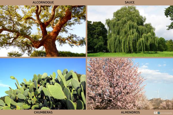 Río Duero - Flora y fauna del río Duero