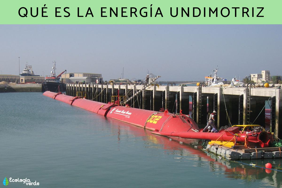Energía undimotriz: qué es, cómo funciona, tipos, ejemplos, ventajas y desventajas