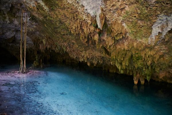 Las cuevas más grandes del mundo - Sistema Sac Actun