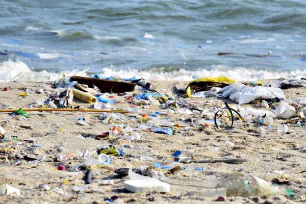 Contaminación del suelo: causas, consecuencias y soluciones -