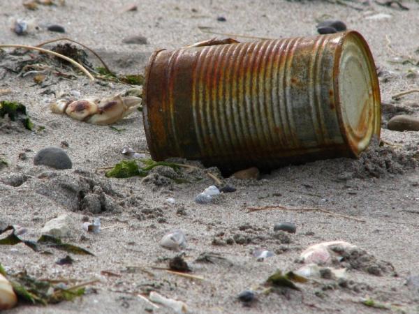 Contaminación del suelo: causas, consecuencias y soluciones - 