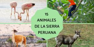 Animales de la sierra peruana