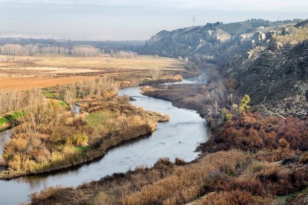 Afluentes del Tajo - ¿Cuáles son los afluentes del Tajo por la margen derecha?