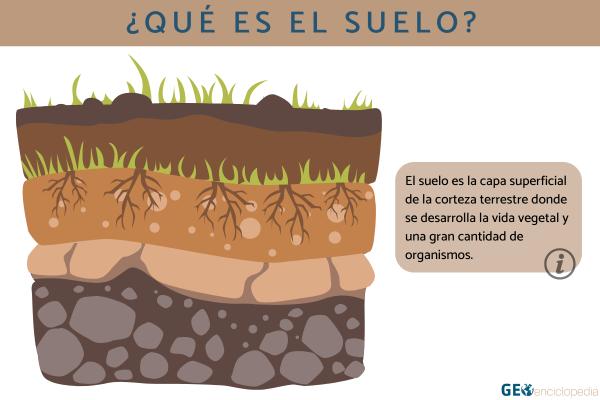 Suelo: qué es, cómo se forma, composición, capas, tipos y conservación