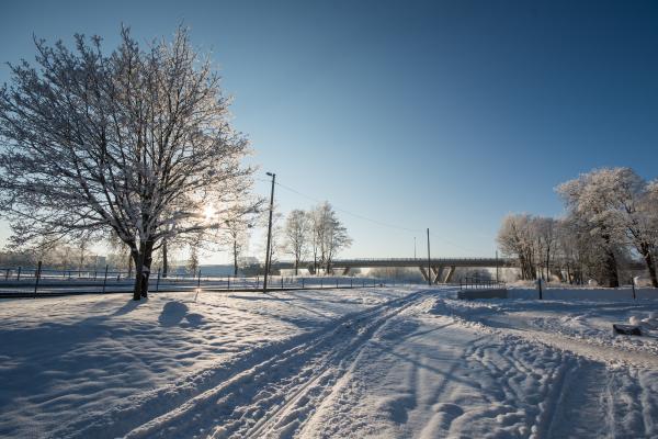 Temperatura: qué es, tipos, cómo se mide e importancia - ¿Qué factores afectan la temperatura?