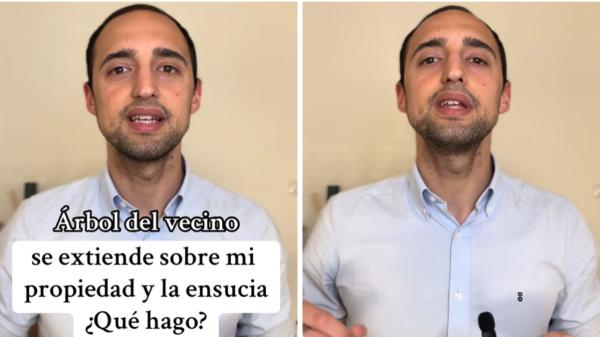 Juan Antonio Ramos, abogado: “Si las ramas de los árboles del vecino se extienden sobre tu jardín, tienes derecho a exigirle que las corte” - La distancia que debe respetar un árbol respecto a la finca del vecino según la ley