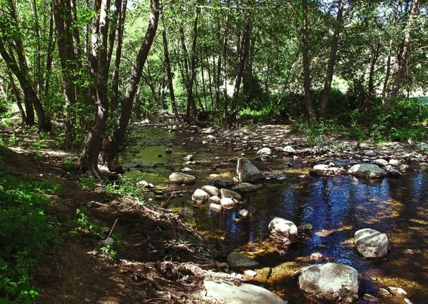 Ríos de Madrid - Río Guadalix