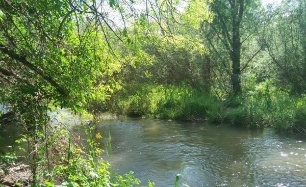 Ríos de Madrid - Río Guadarrama