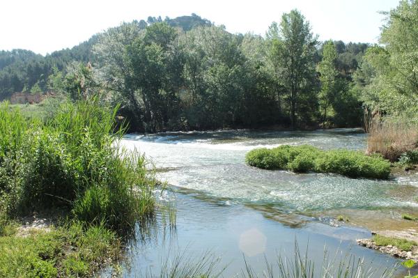 Ríos de Madrid - Río Henares