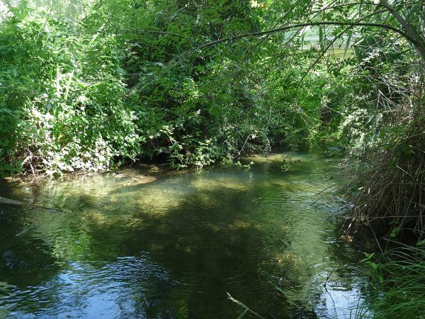 Ríos de Madrid - Río Tajuña