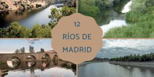Ríos de Madrid