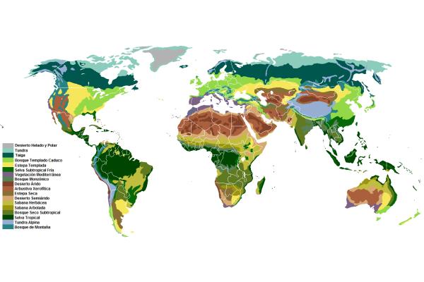 Qu son los biomas tipos caracter sticas - Ejemplos De Biomas Del Mundo 2295 2 600