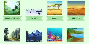 Qué son los biomas: tipos, características y ejemplos