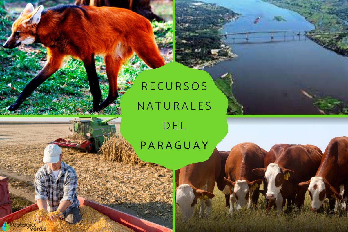 Recursos naturales del Paraguay