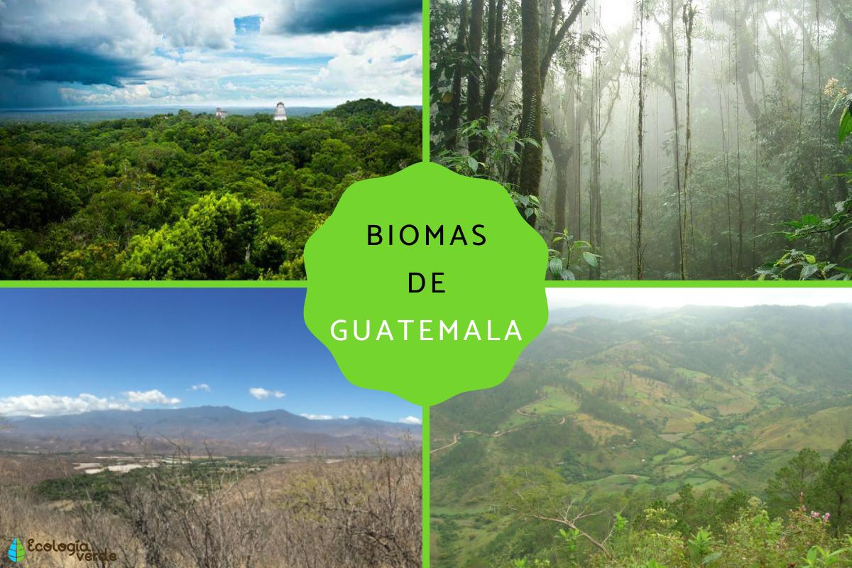 Biomas de Guatemala