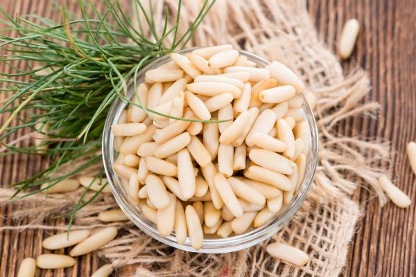 Piñones: propiedades, calorías, beneficios, cómo comerlos y contraindicaciones - ¿Cuáles son los beneficios de los piñones para la salud?