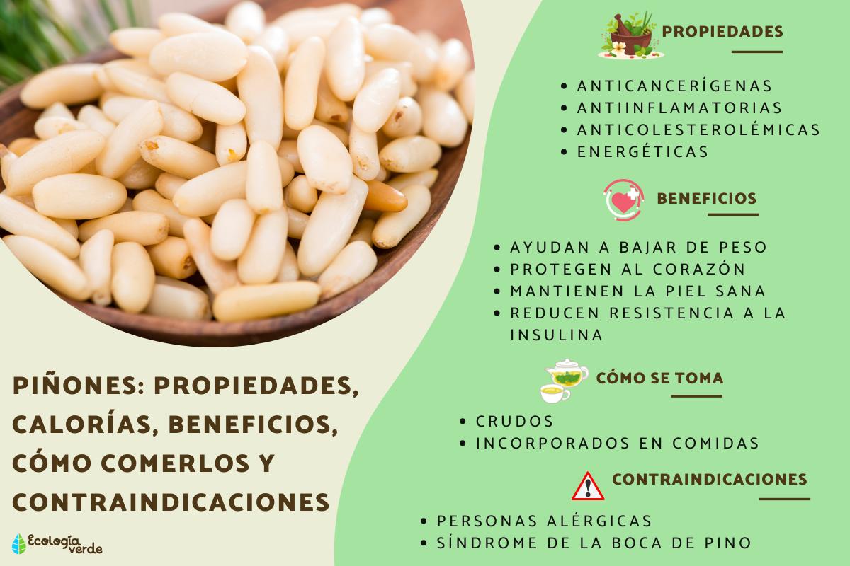 Piñones: propiedades, calorías, beneficios, cómo comerlos y contraindicaciones