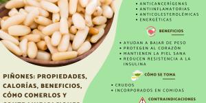 Piñones: propiedades, calorías, beneficios, cómo comerlos y contraindicaciones