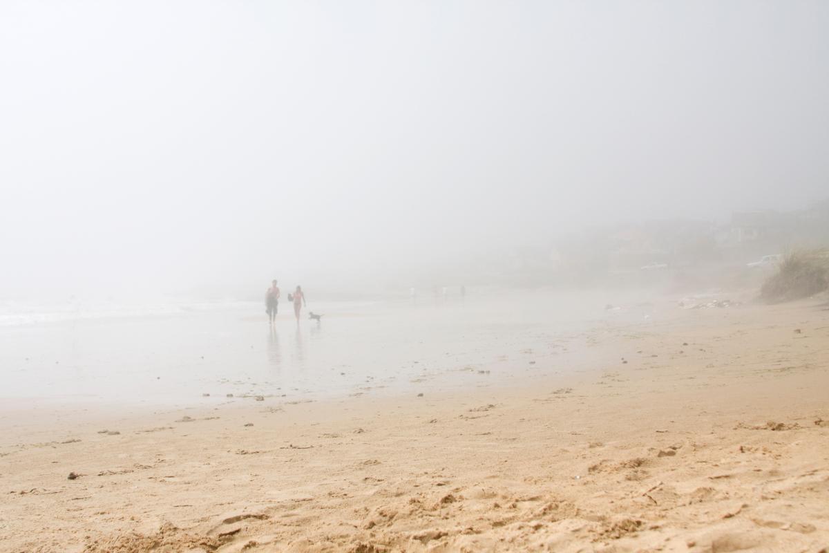 Bruma: qué es y cómo se forma