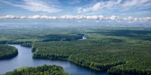 Qué son los biomas: tipos y ejemplos