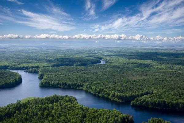 Qué son los biomas: tipos y ejemplos