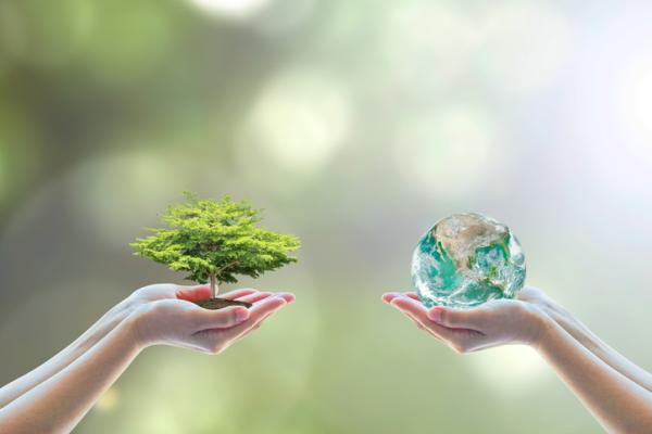 Desequilibrio ecológico: qué es, causas, consecuencias y ejemplos - Cómo evitar el desequilibrio ecológico