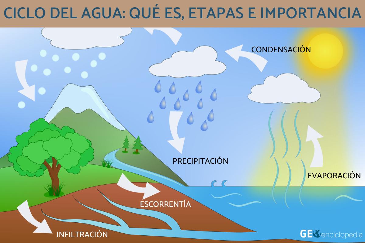 Ciclo del agua: qué es, etapas e importancia