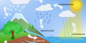 Ciclo del agua: qué es, etapas e importancia