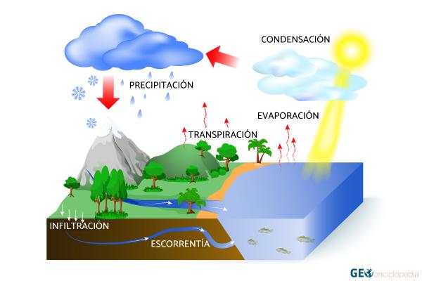 Ciclo del agua: qué es, etapas e importancia - Etapas del ciclo del agua