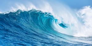 Aguas oceánicas: qué son, tipos, características, distribución y dinámica