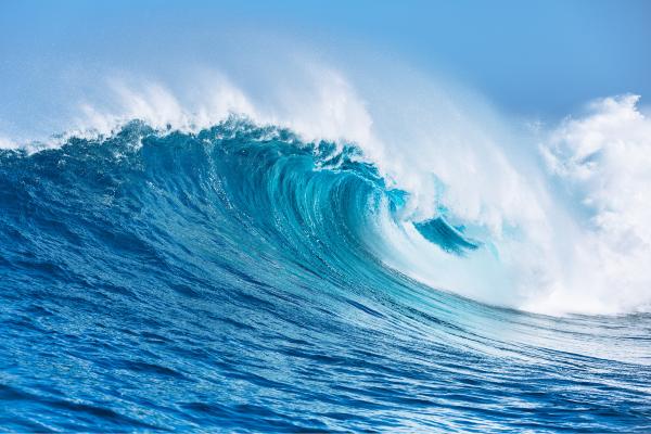 Aguas oceánicas: qué son, tipos, características, distribución y dinámica