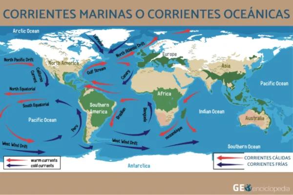 Aguas oceánicas: qué son, tipos, características, distribución y dinámica - Dinámica de las aguas oceánicas 