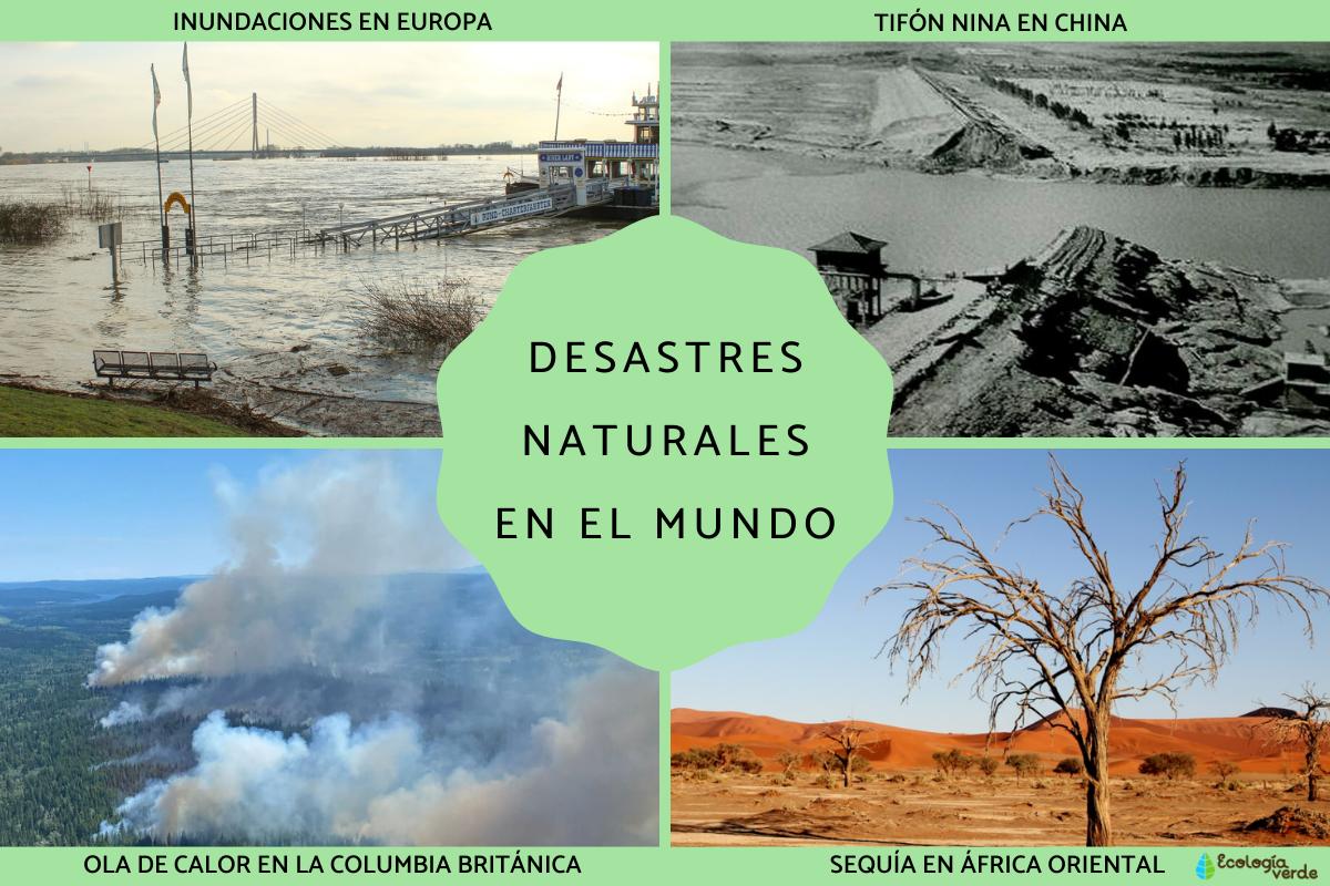 Desastres naturales en el mundo