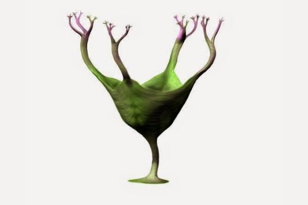 ¿Cuál es el animal más antiguo del mundo? - Haootia