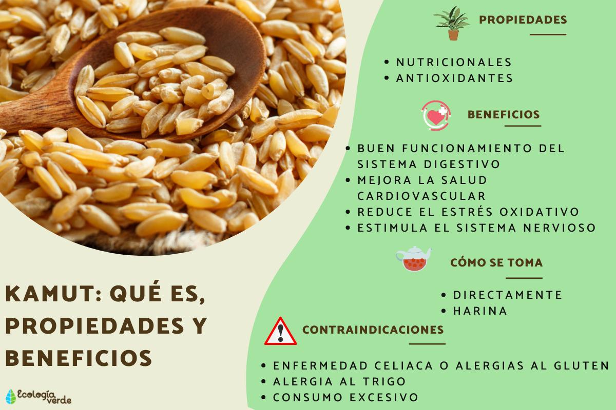 Kamut: qué es, propiedades y beneficios