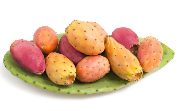 Nopal - Reproducción y variedades de nopal