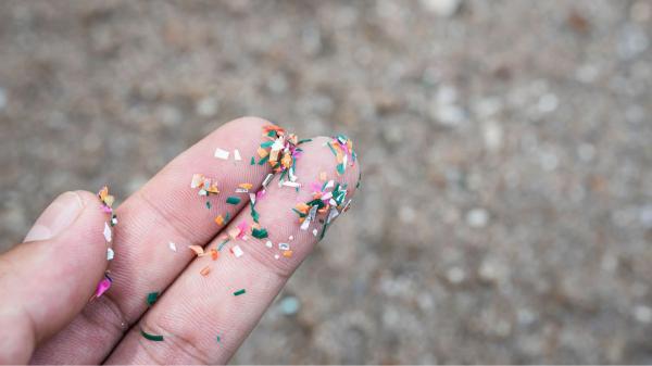 Una playa puede parecer completamente limpia y estar llena de microplásticos: una experta explica por qué - Una playa limpia no significa una playa libre de microplásticos