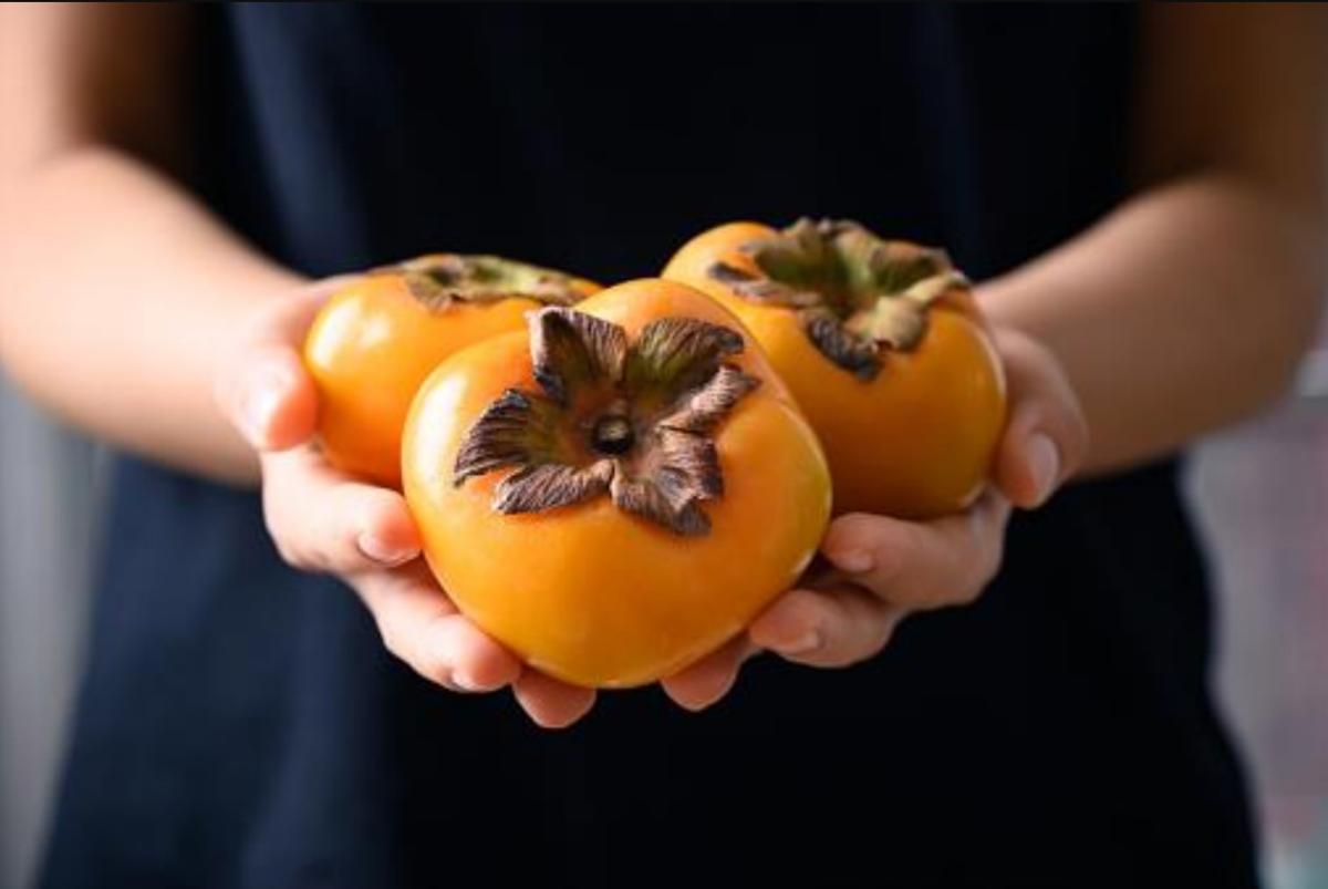 El cultivo del caqui en España