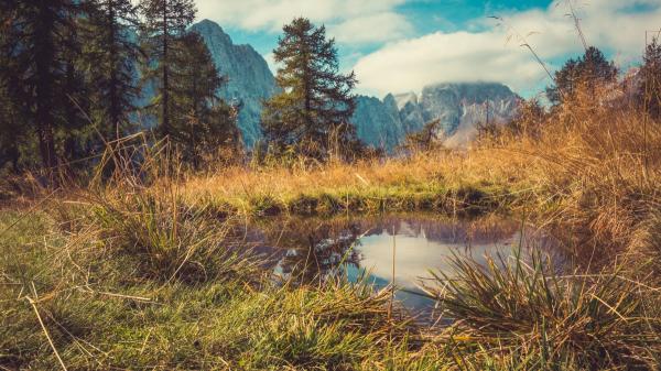 La anguila europea aún no está protegida como especie en peligro de extinción, pero los expertos alertan de su elevada mortalidad cuando los ríos se secan en verano - El problema comienza cuando el río deja de tener continuidad