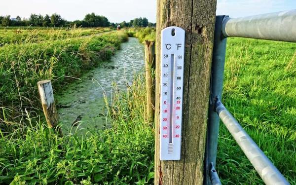 Termómetros de Mercurio - Usos del termometro de mercurio.