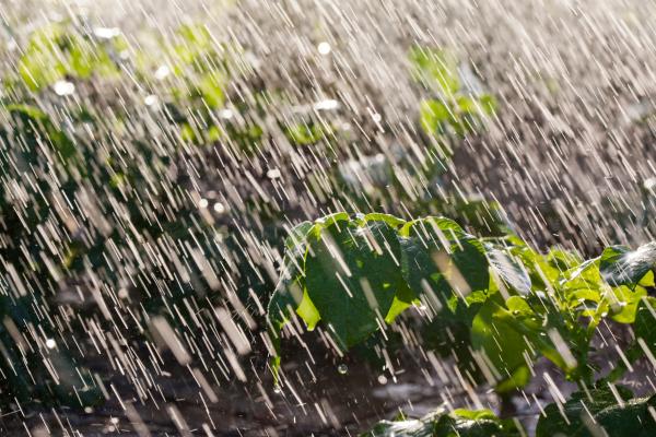 Viento ábrego: qué es, características y efectos - Características del viento ábrego