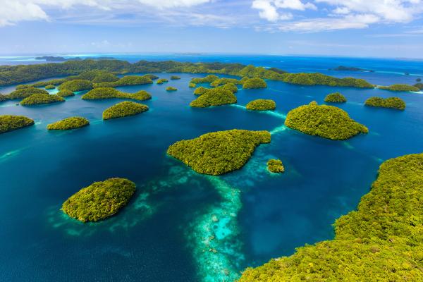 Cuál es el océano más grande del mundo - El océano más grande del mundo es el Pacífico