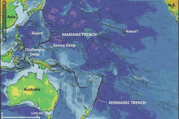 Fosas oceánicas: qué son, cómo se forman, ejemplos y cuál es la más profunda - ¿Cuál es la fosa oceánica más profunda del mundo?