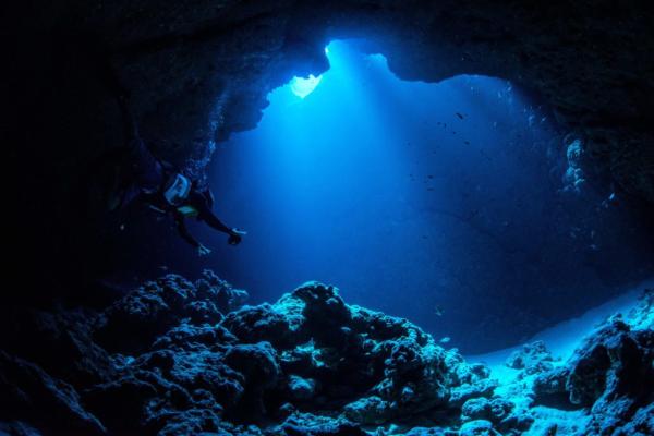Fosas oceánicas: qué son, cómo se forman, ejemplos y cuál es la más profunda - ¿Cuáles son las características de las fosas oceánicas?